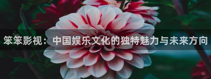 汤姆影院官网：笨笨影视：中国娱乐文化的独特魅力与未来方向