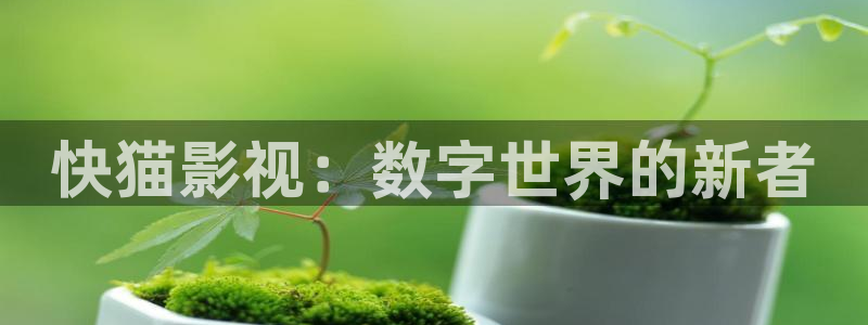 汤姆影院链接：快猫影视：数字世界的新者