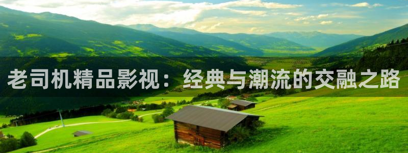 汤姆高清私人影院：老司机精品影视：经典与潮流的交融之路