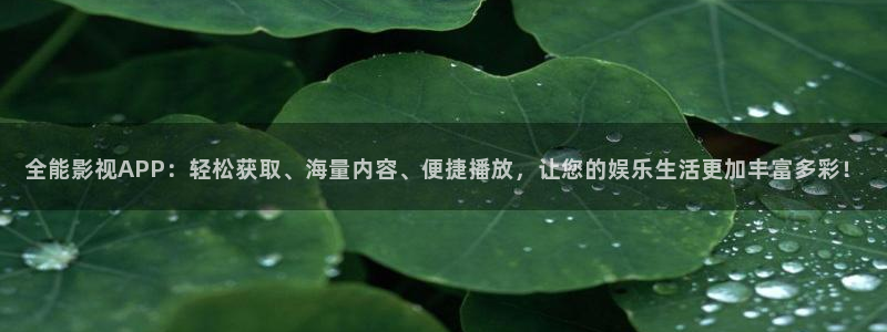 汤姆影院tom最新地域：全能影视APP：轻松获取、海量内容、便捷播放，让您的娱乐生活更加丰富多彩！