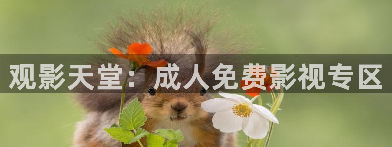汤姆影院www：观影天堂：成人免费影视专区