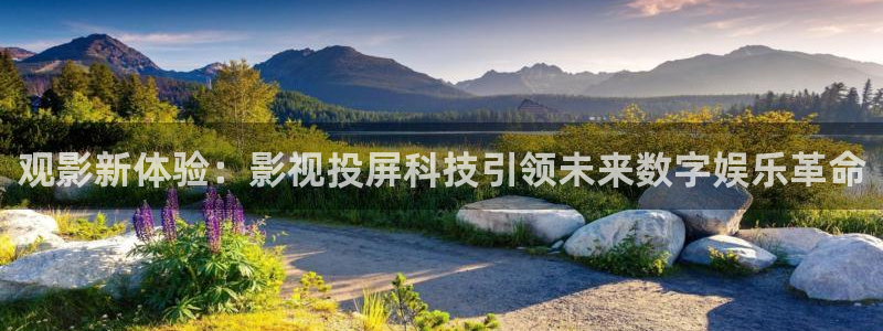 汤姆视频入口：观影新体验：影视投屏科技引领未来数字娱乐革命
