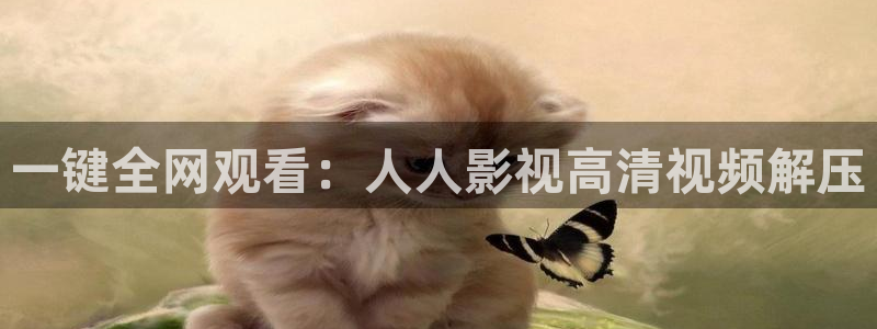私人汤姆影院：一键全网观看：人人影视高清视频解压