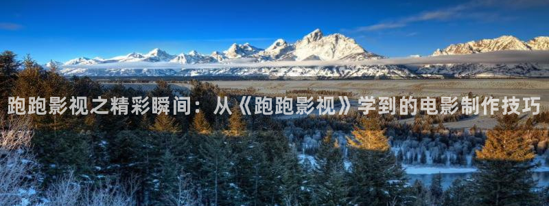 汤姆影院在线视频：跑跑影视之精彩瞬间：从《跑跑影视》学到的电影制作技巧