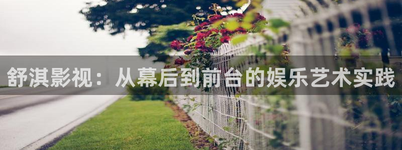 汤姆影视在线播放：舒淇影视：从幕后到前台的娱乐艺术实践